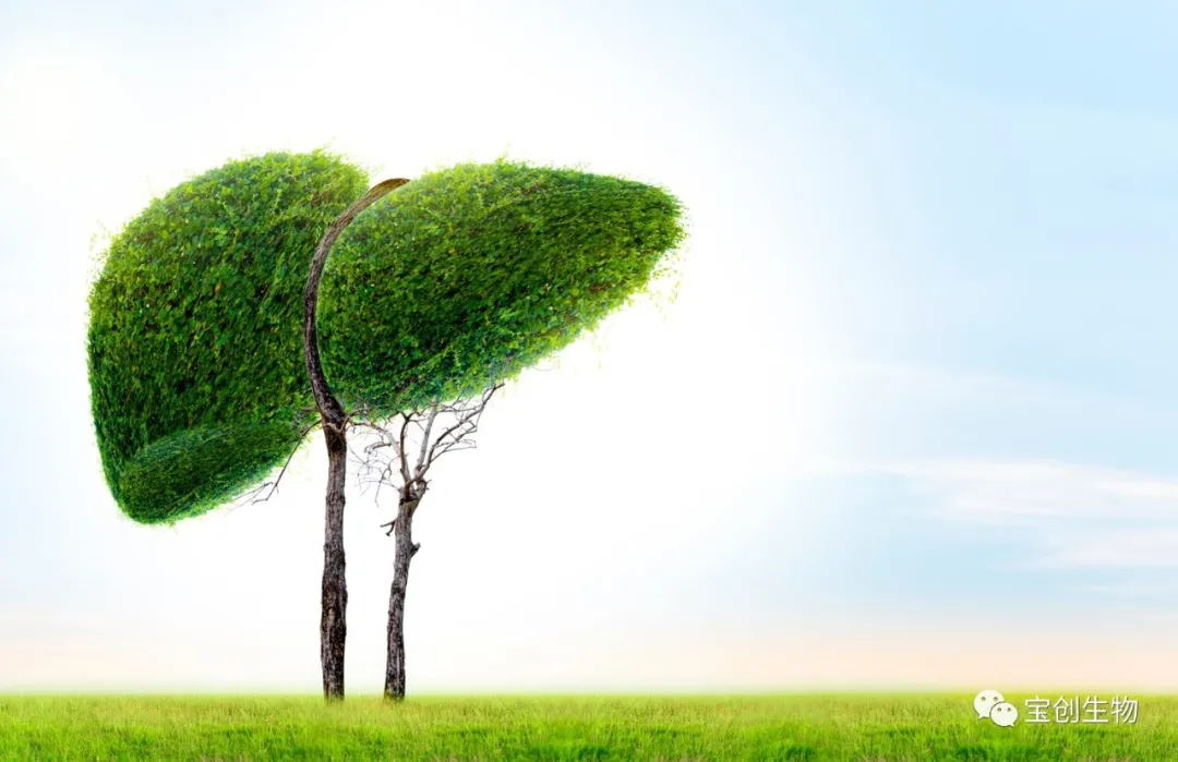 640 (8)_看图王.web.jpg