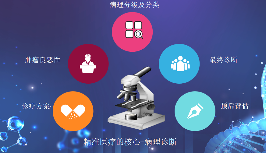 精准医疗的焦点.png