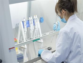 宝马bm1122线路顶级(中国游)有限公司官网